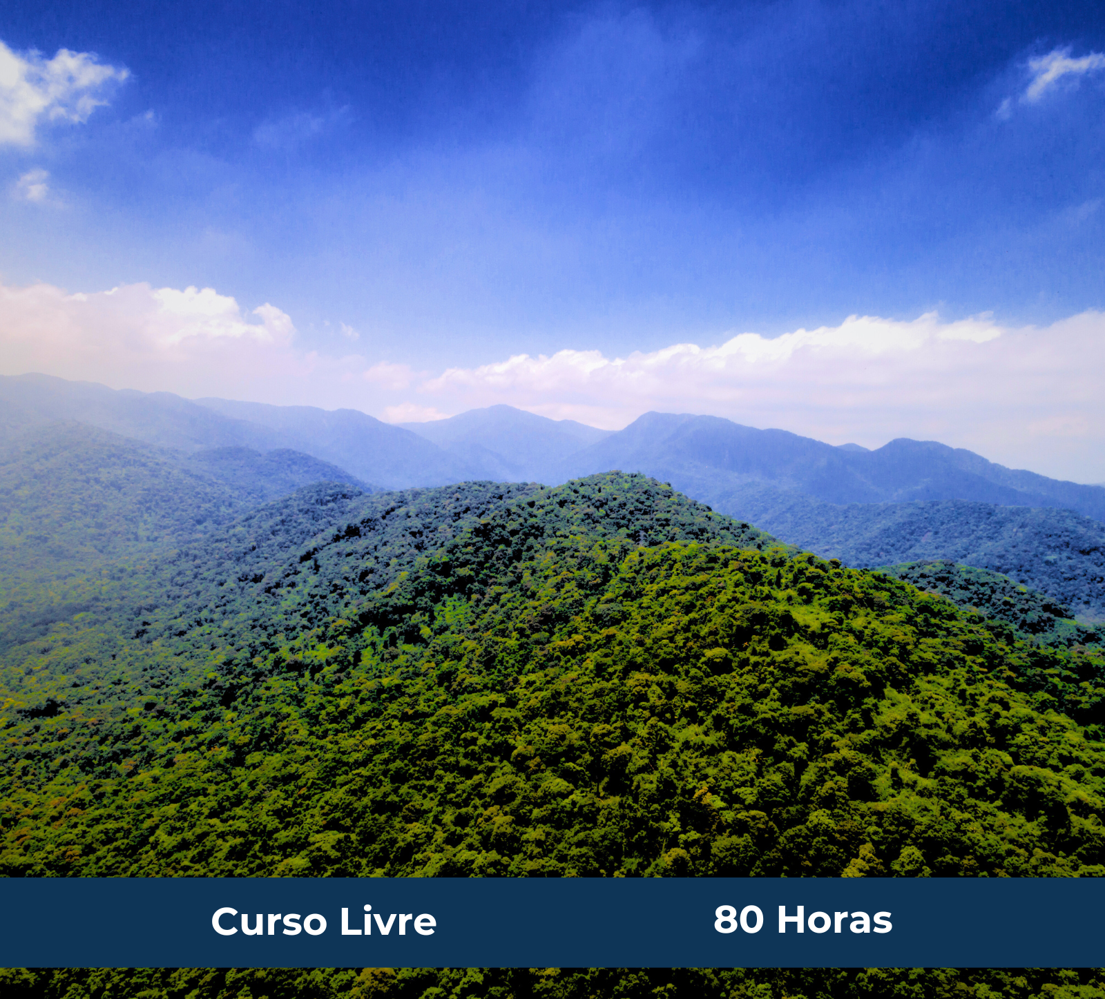 Letramento Ambiental